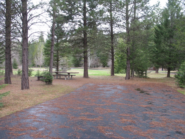 picture showing Typical campsite at Swan Lake Campground. Most campsites are accessible and all have accessible picnic tables and fire rings.